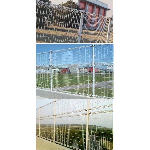 Круг покрытого порошком стальным сваренным забором сада провода сваренный двойной