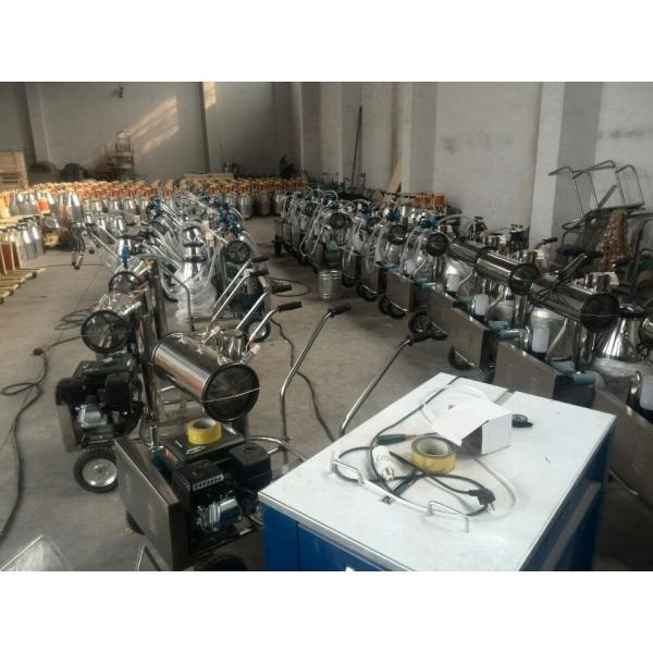 Ordeñadora de la sola lechería del cubo de la bomba de vacío para las ovejas/las cabras/las vacas