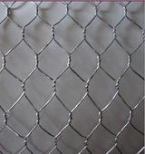 Chicken Wire Mesh/Hexagonal Wire Netting/Hexagonal Wire Mesh