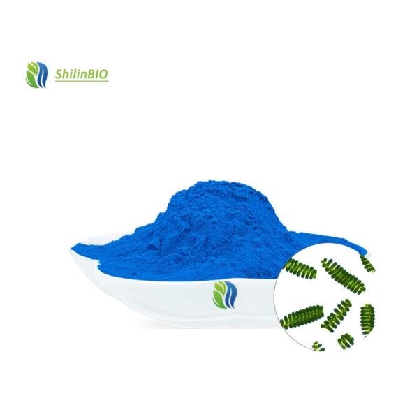 Poudre de phycocyanine
