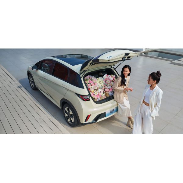 BYD 2025 Dolphin 520km Knight Edition EV