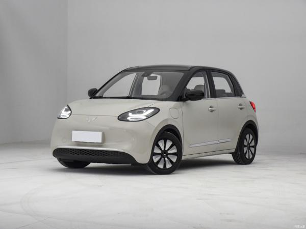 2023 Wuling Bingo Mini EV CLTC 333km Five-Door Four-Seat Energy Small Pure Electric Car
