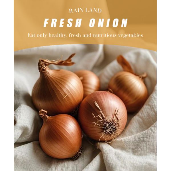 China Supplier 5-8 cm Size Round Export Fresh Vegetable Yellow White Onion for Sale
