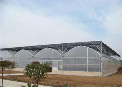 Shouguan Plastic Film Greenhouse 150 / 200micro PE Film Covering Easy To Clean