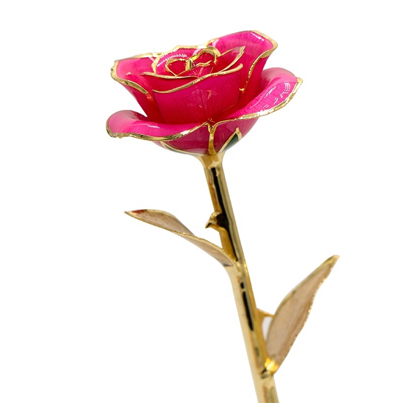 Gold Trimmed  Rose  Manufacture Flower Girlfriend Gift 24k Gold Plated Natural Rose for Valentine's Day, Mother's Day Gifts