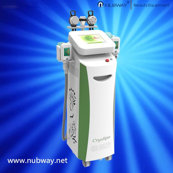 Five Handles Vertical Cryolipolysis Slimming Beauty Equipments for Salon Spa Clinic