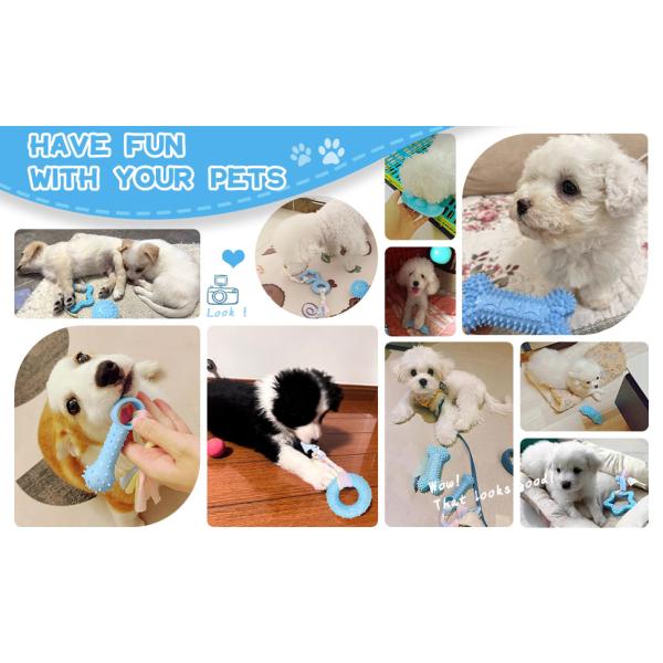 Puppy Toys For Teething Small Dogs Cute Blue Pet Dog Chew Toys For Puppies Soft Rubber Funny Bone Ball Donut Indoor
