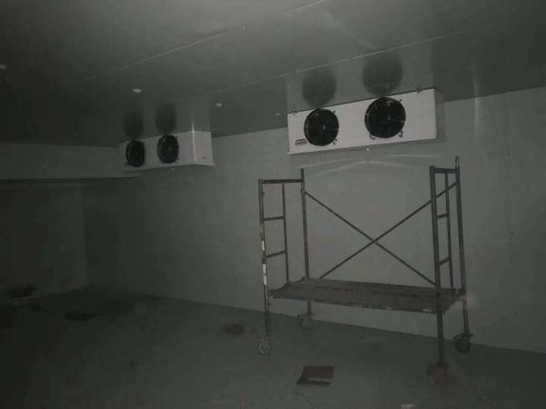 COLDROOM32 Modular PU Panel Storage Room with Refrigeration Condensing Compressor Unit