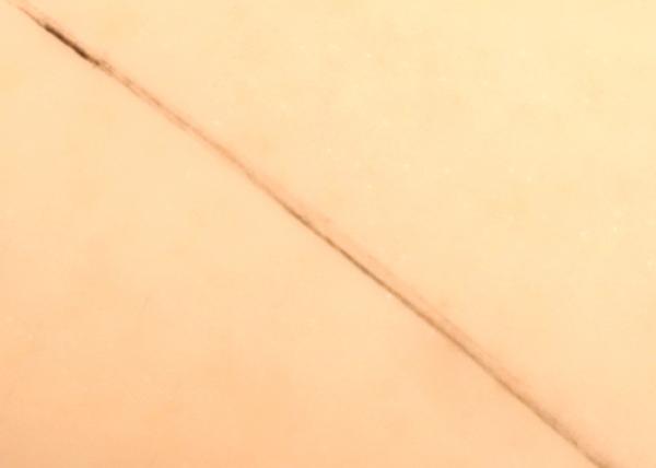 Pre - corda do mapeamento da testa da tinta 10 M Microblading