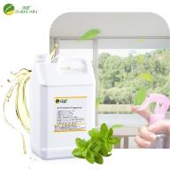 Luxury Mint Scent Home Car Fragrance Oil For Perfume Branded Air Freshener Fragrance El aceite de fragancia para automóviles para perfumes