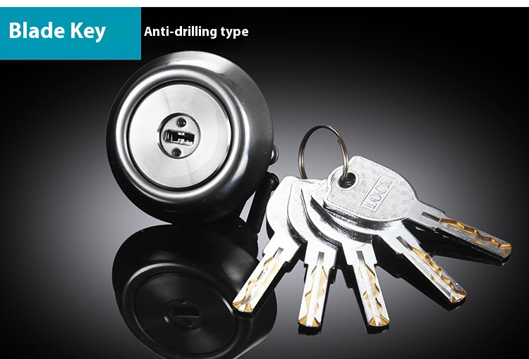 Modern Design Anti-Theft Security Door Lock Full Copper Waterproof B-Grade Core Universal for Old Modern Apartments Finished