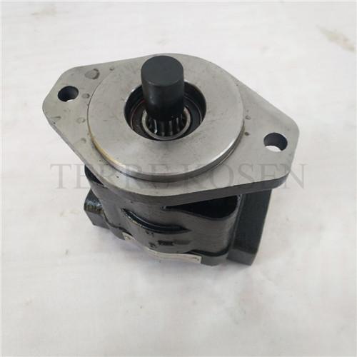 Hydraulic gear pump P330 bushing pump P330A597FYAB17-25