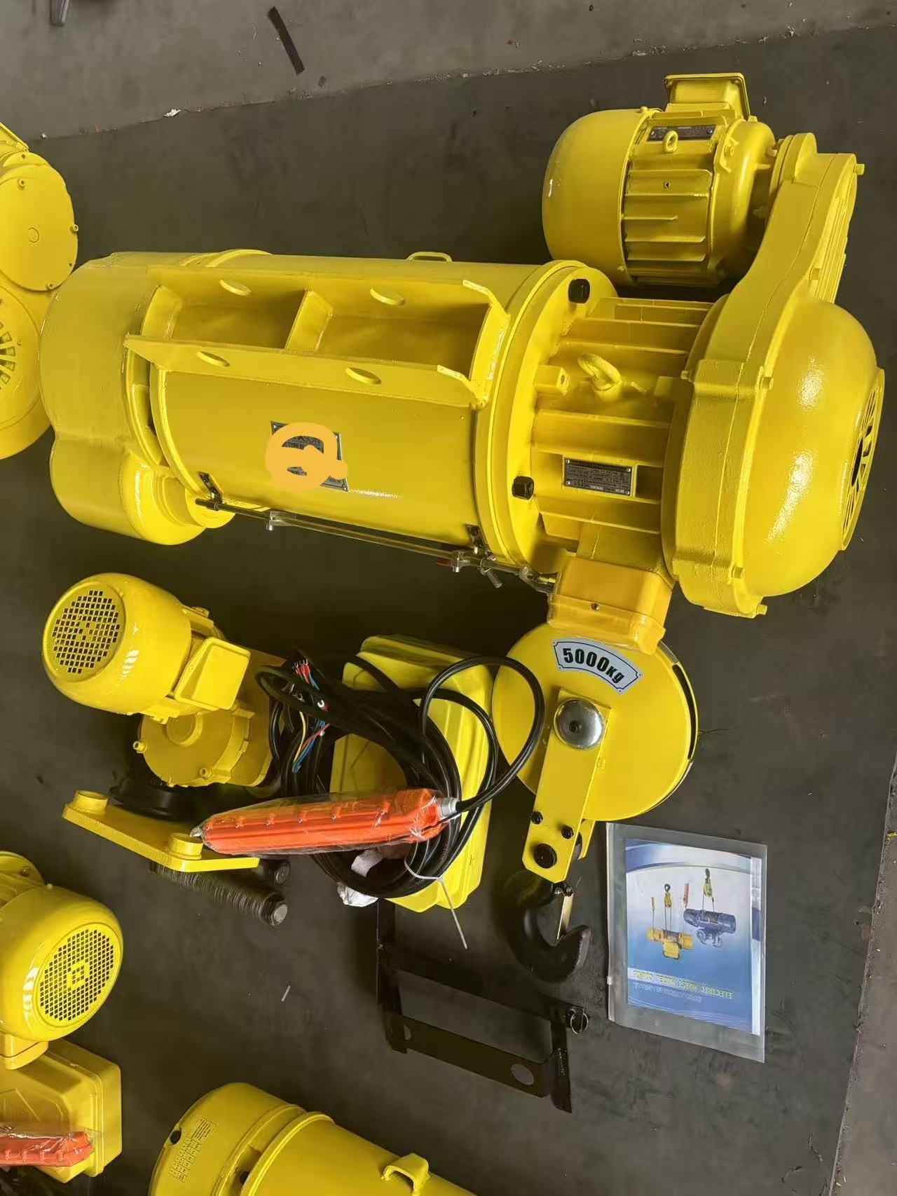 Industrial Lifting Wire Rope Electric Hoist Double Speed Single Girder Hoist Customized