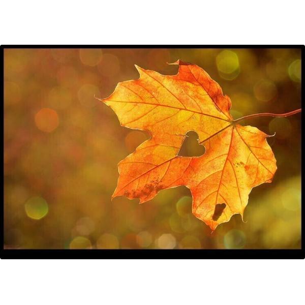 10.1 Inch Tft Lcd 1280x800 With Lvds Interface 45 Pins BP101WX1-300