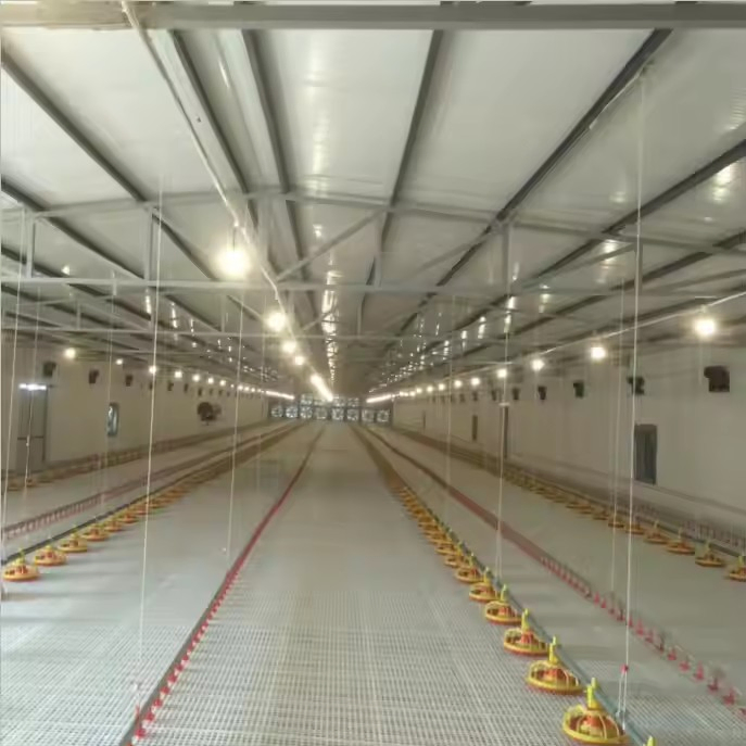 Poultry Equipment Plastic Slats Flooring Moisture Resistant for Broiler Farm