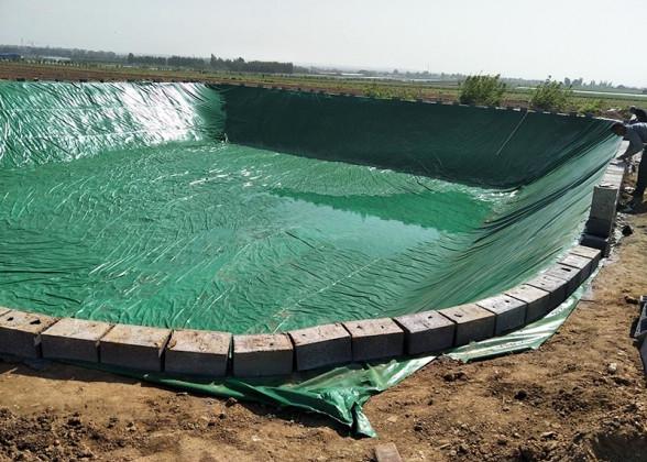 Long Lifespan Hdpe Smooth Geomembrane Multi Scenario Pvc Geomembrane Liner