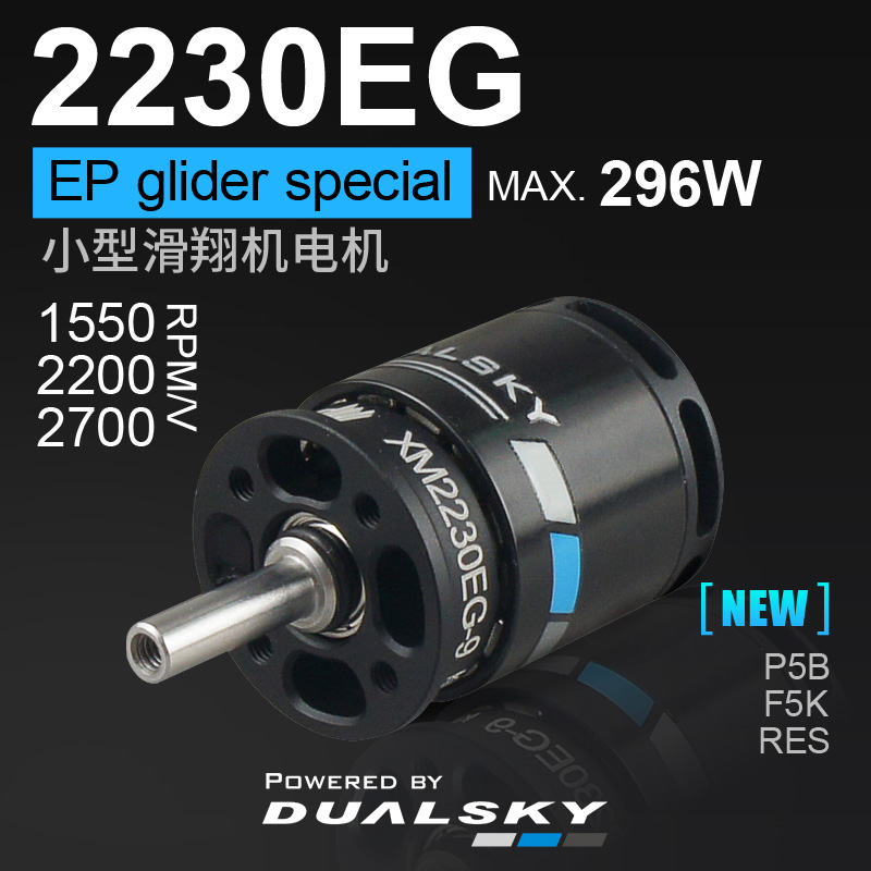 Dualsky XM2230EG 1815 Brushless Motor F5K RES P5B F3K Remote Control Glider Small RC