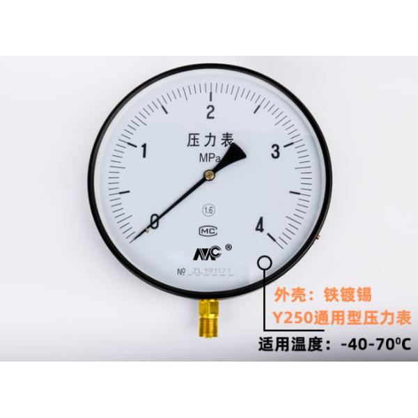 Направление манометра 250mm нержавеющей стали Y250BF радиальное