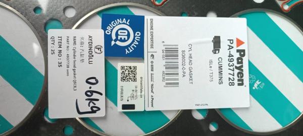 entrega rápida da gaxeta principal de cilindro dos cummins PA-4937728 do lgmc 4937728
