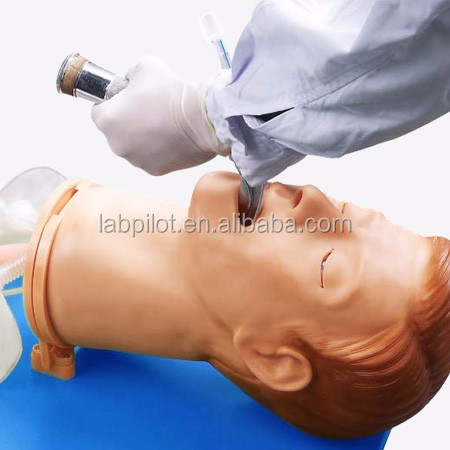 Vivid Anatomy Intubation Head for Electronic Multi-functional Airway Management Model