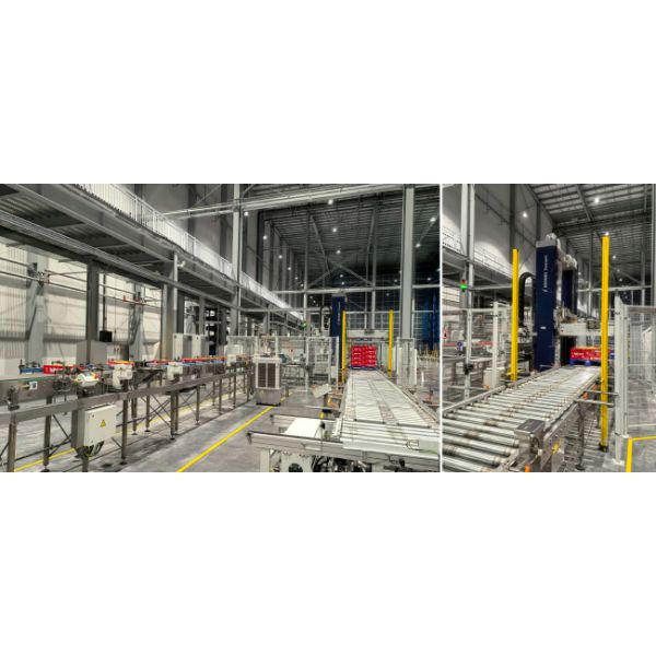 Double Deep pallet Stacker Crane ASRS, Floor Supported SRM(Storage Retrieval Machine), Automatic Storage And Retrieval System,Room Temperature Warehouse and Cold Storage