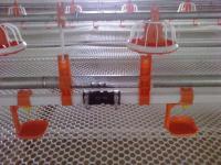 Plasson Broiler Abreuvoir Volaille Ligne D'abreuvement Blanc Rouge Jaune