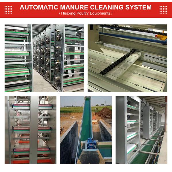 jaula de batería automática de Suráfrica de la jaula de las aves de corral del pollo de la capa de 4Tiers 160Birds Uzbekistán