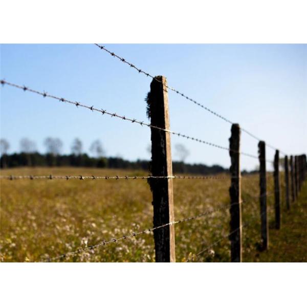 Durable  Pvc Coated Barbed Wire , Barbed Fencing Wire Bulk Weight OEM