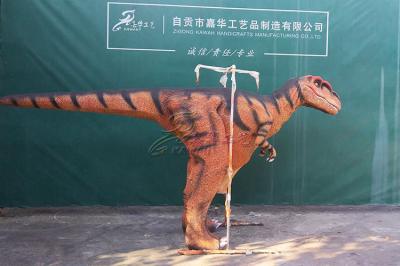Adultos escondidos do traje do dinossauro da operação manual realísticos com resistência de Sun