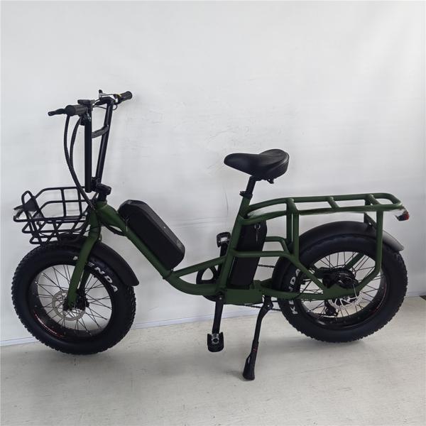 Shimano Gear Alloy Stem Dual Batteries Folding Step Through Ebike for Carrying Kids