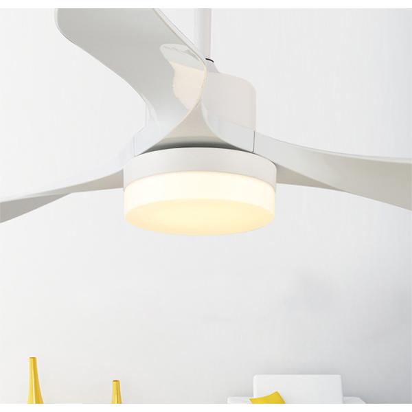 220V Ceiling Fan Light LED Energy  Remote Control Ceiling Light Fan Indoor  Living Room White Ceiling Fan(WH-CLL-21)