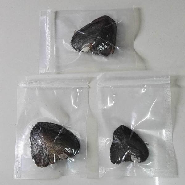 Wholesale Vacuum-packed 7-8mm A grade rice shape freshwater pearl oyster white natural Pearl Oyster