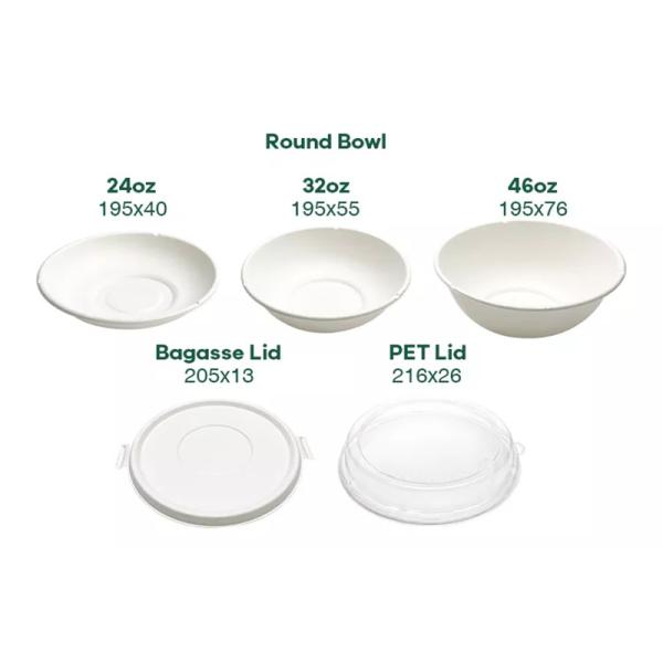 120 Degree Oil Resistant Biodegradable Sugarcane Bagasse Plates Takeaway Bowl With Lid