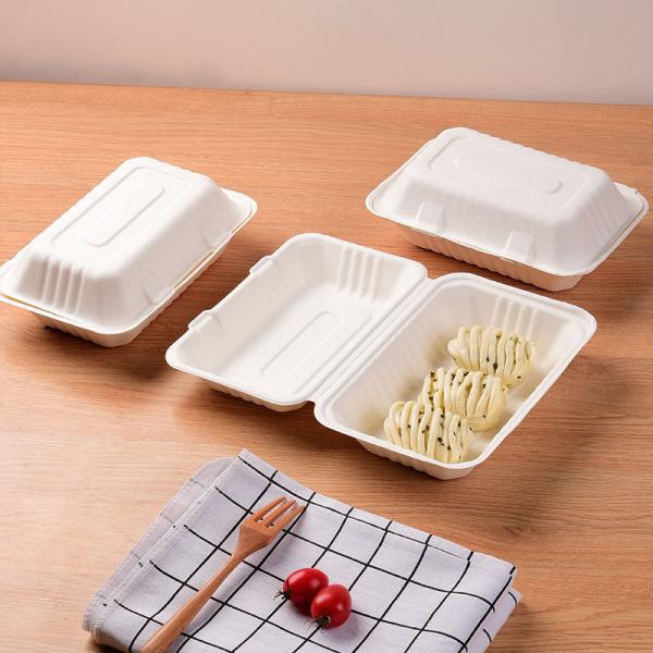 Eco-Friendly Disposable Packaging Boxes for Multi Color Biodegradable Fruits and Eggs