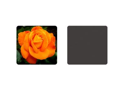 9 x 9cm Lenticular Printing Services Flowers & Birds 3d Lenticular Coasters With Square Shape