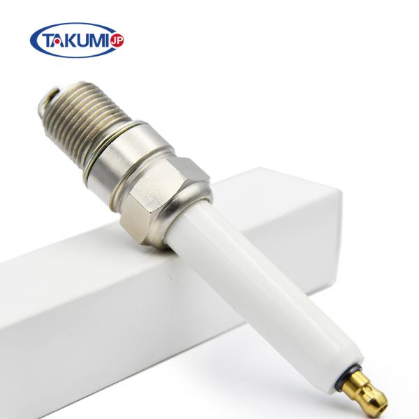 Engine Spare Part Replacement For Champion RB75WPCC