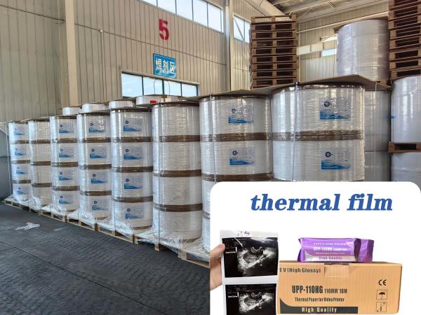 Ultimate Thermal Film for Ultrasound Paper BPA Free Durable 75um 95um Choices Tailored for Packaging Labels Jumbo Rolls