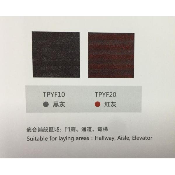 Положительная величина циновок парадного входа особенного твердотянутого провода волокна PP роскошная оле