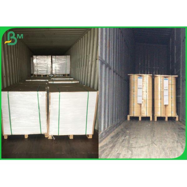 pe coated paper Greaseproof Food Grade 60gsm+10g PE Coated Paper For Food Packages
