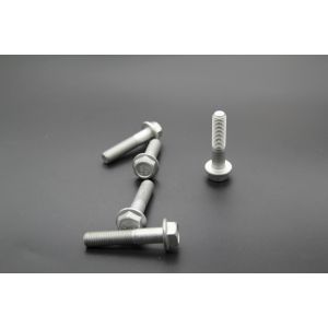 Flange Head Screws