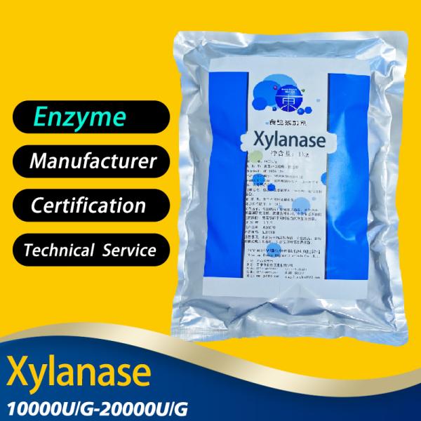 20000U/G Xylanase Enzyme Xylanase dans les aliments pour le pain