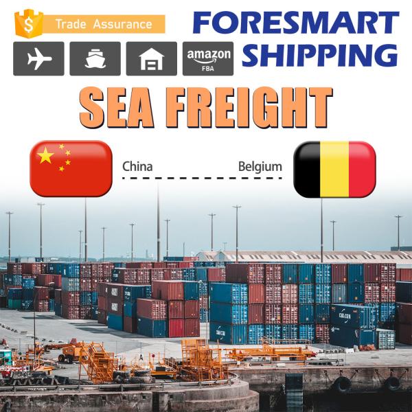 40HQ Shipping From China To Belgium FCL Sea Freight