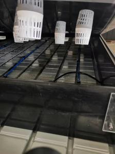 4ft*15ft Two Layer Flower Cannabis Racking Systems Sustainable
