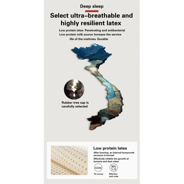Comfort JOURM Natural Latex Nine-Zone Independent Spring Anti-Mite Dehumidification Technology 3D Mesh Cloth