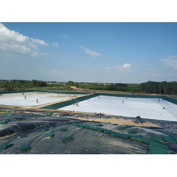 Черный водоем 0,5 мм HDPE для очистки отходов водоем стиль современный дизайн