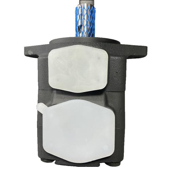 Pompe hydraulique mécanique à faible bruit Rexroth PVV4-1X 122RA15DMC Gris