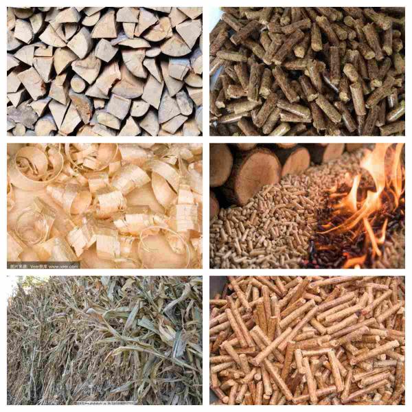 molino de la pelotilla del PTO 300kg/hWood de la impulsión del tractor 10-80hp para hacer pelotillas de la biomasa de 6m m