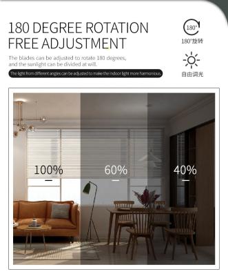 Combination Cordless Venetian Blinds Panel Track Style