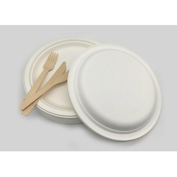 9 Inch Snack 100% Natural Sugarcane Compostable Plates