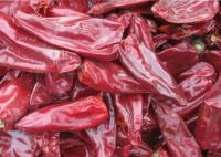 Guajillo secado Stemless o Chile salpica a forma do bloco de Heb sem haste